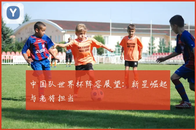 中国队世界杯阵容展望：新星崛起与老将担当