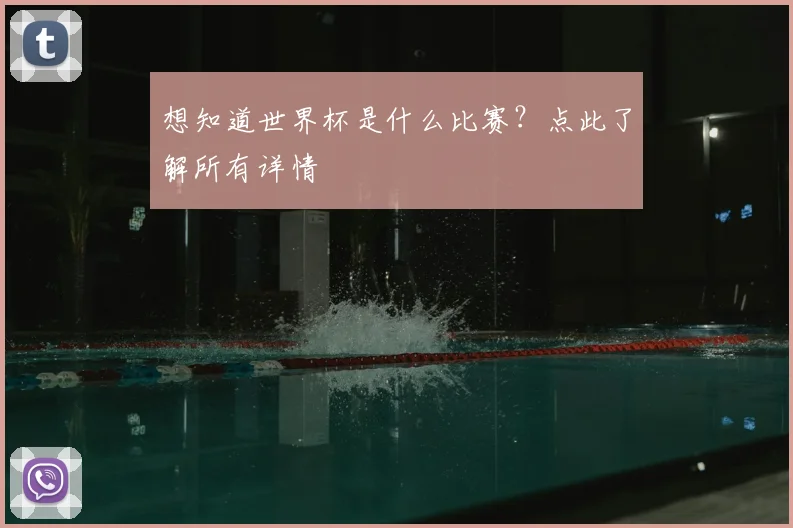 想知道世界杯是什么比赛？点此了解所有详情